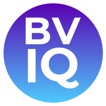 BVIQ Logo